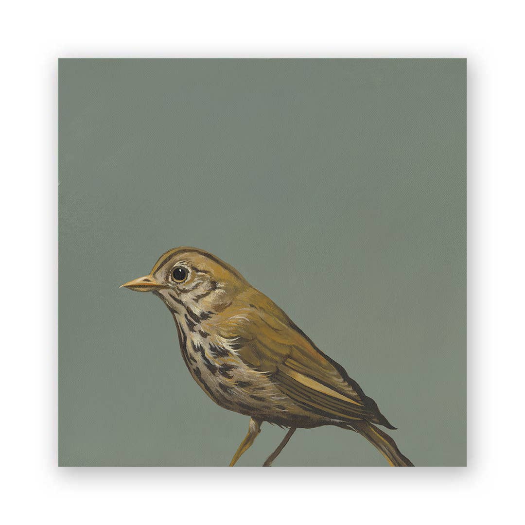 Thrush Wood Wall Art - Box Turtle