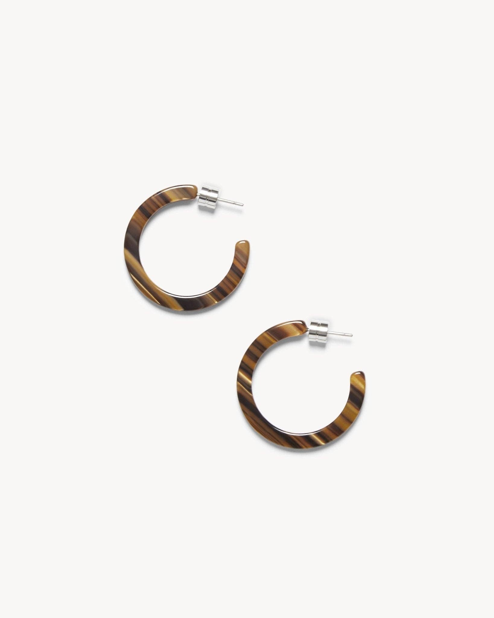 Tiger's Eye Mini Hoops - Box Turtle