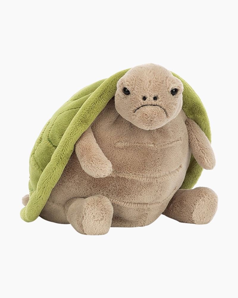 Timmy Turtle - Box Turtle