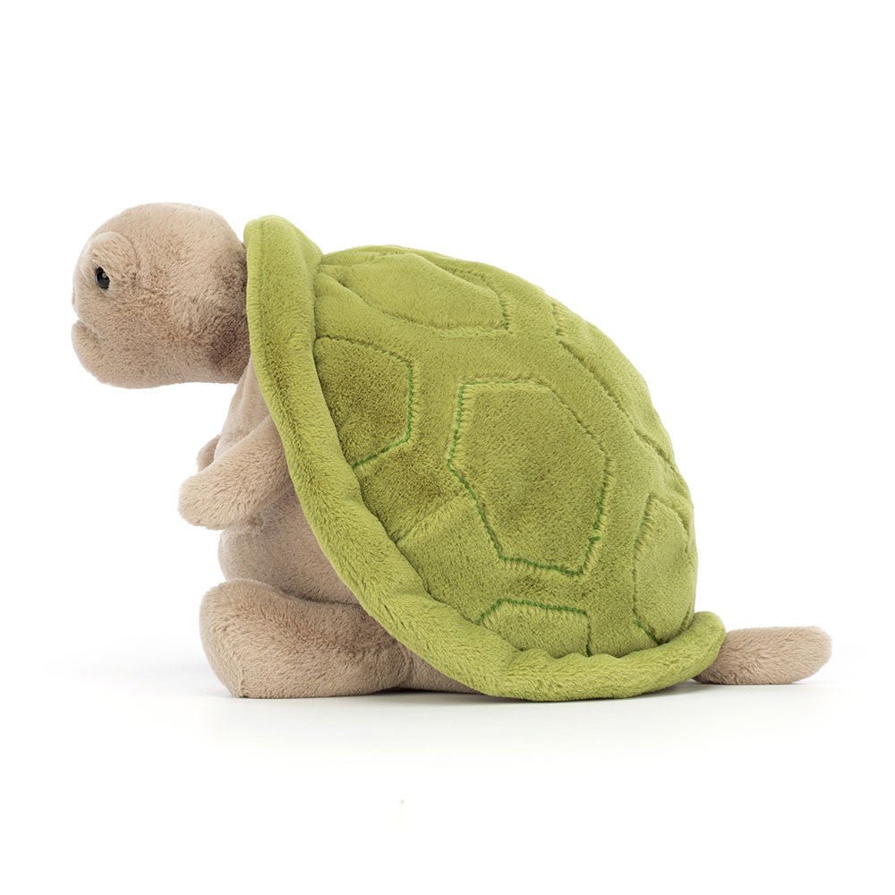 Timmy Turtle - Box Turtle