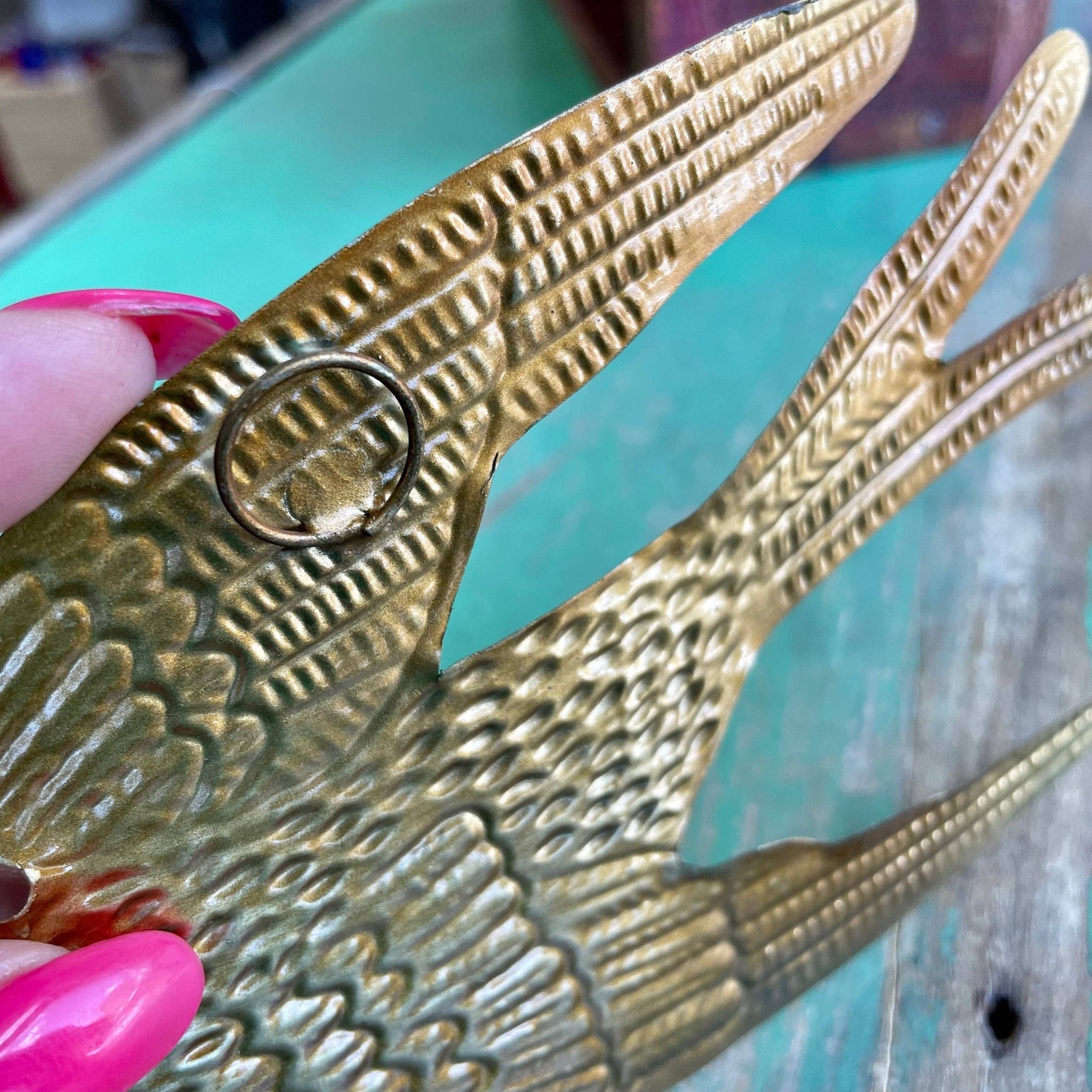 Tin Holy Spirit - Box Turtle