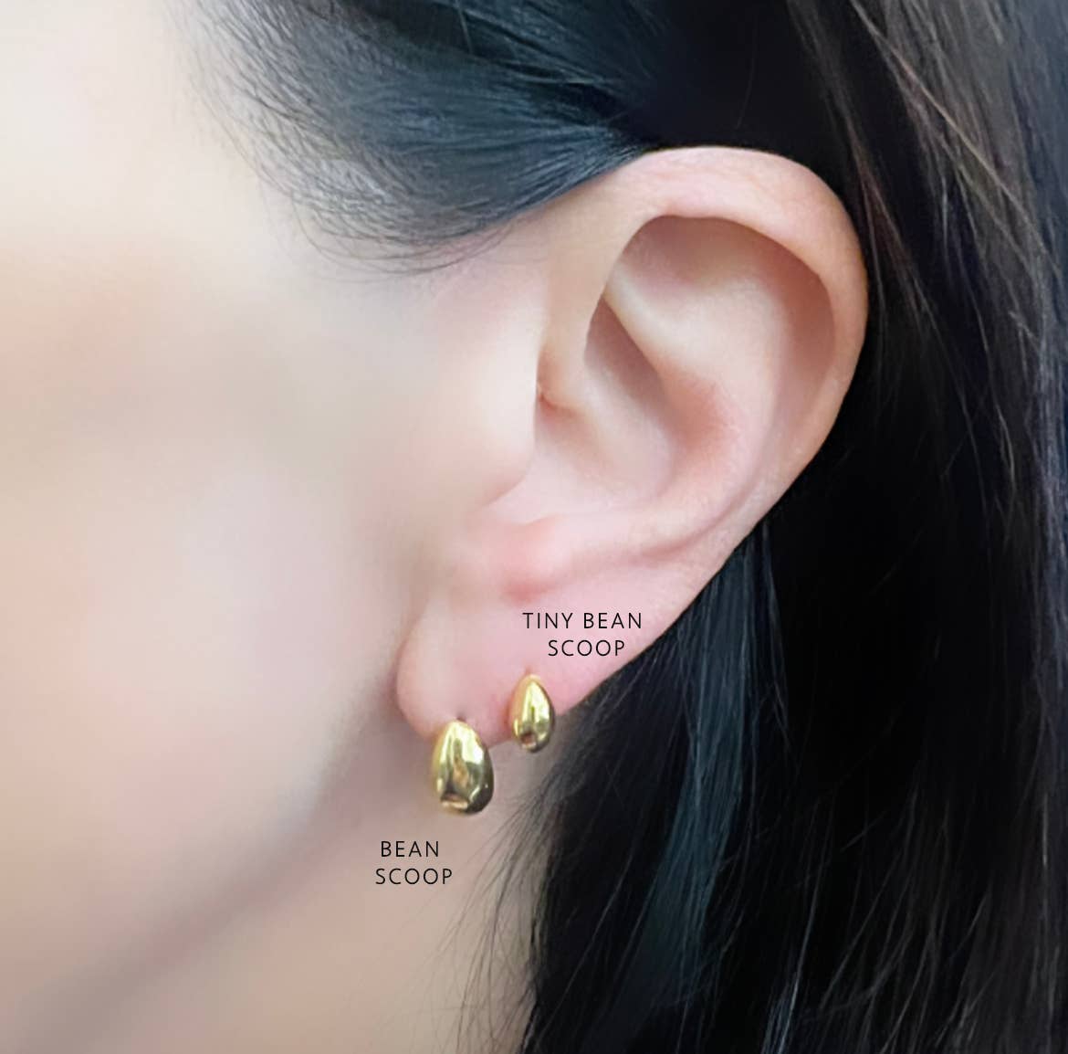 Tiny Bean Scoop - Box Turtle