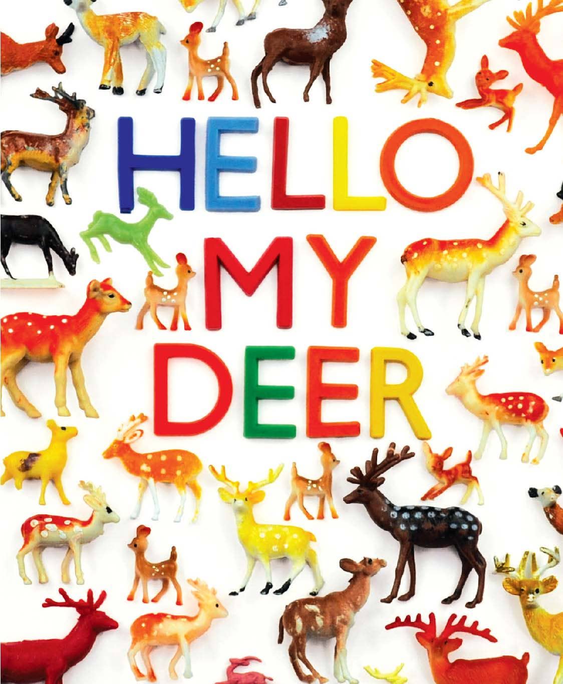 Tiny Collections: Hello! Notes - Box Turtle