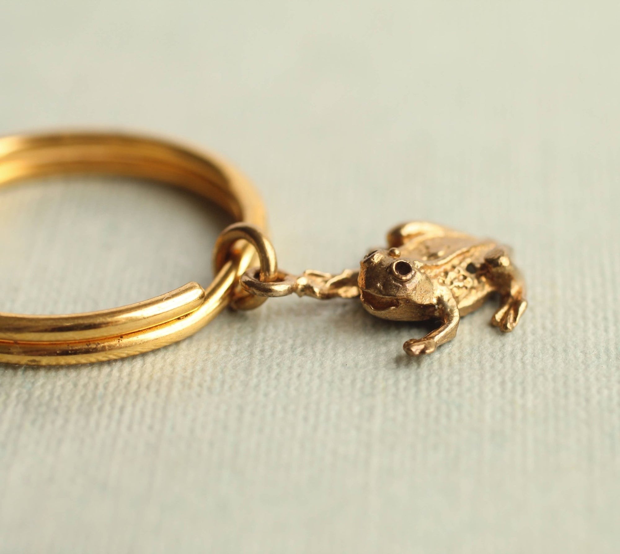Tiny Frog Keyring - Box Turtle