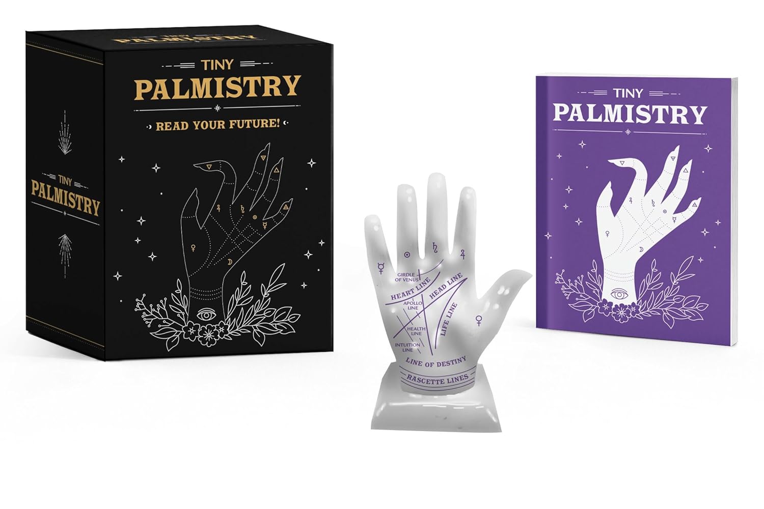 Tiny Palmistry - Box Turtle