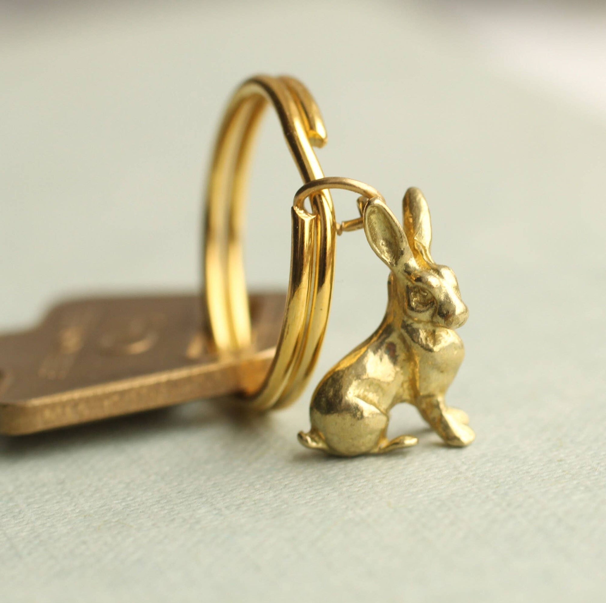 Tiny Rabbit Keyring - Box Turtle