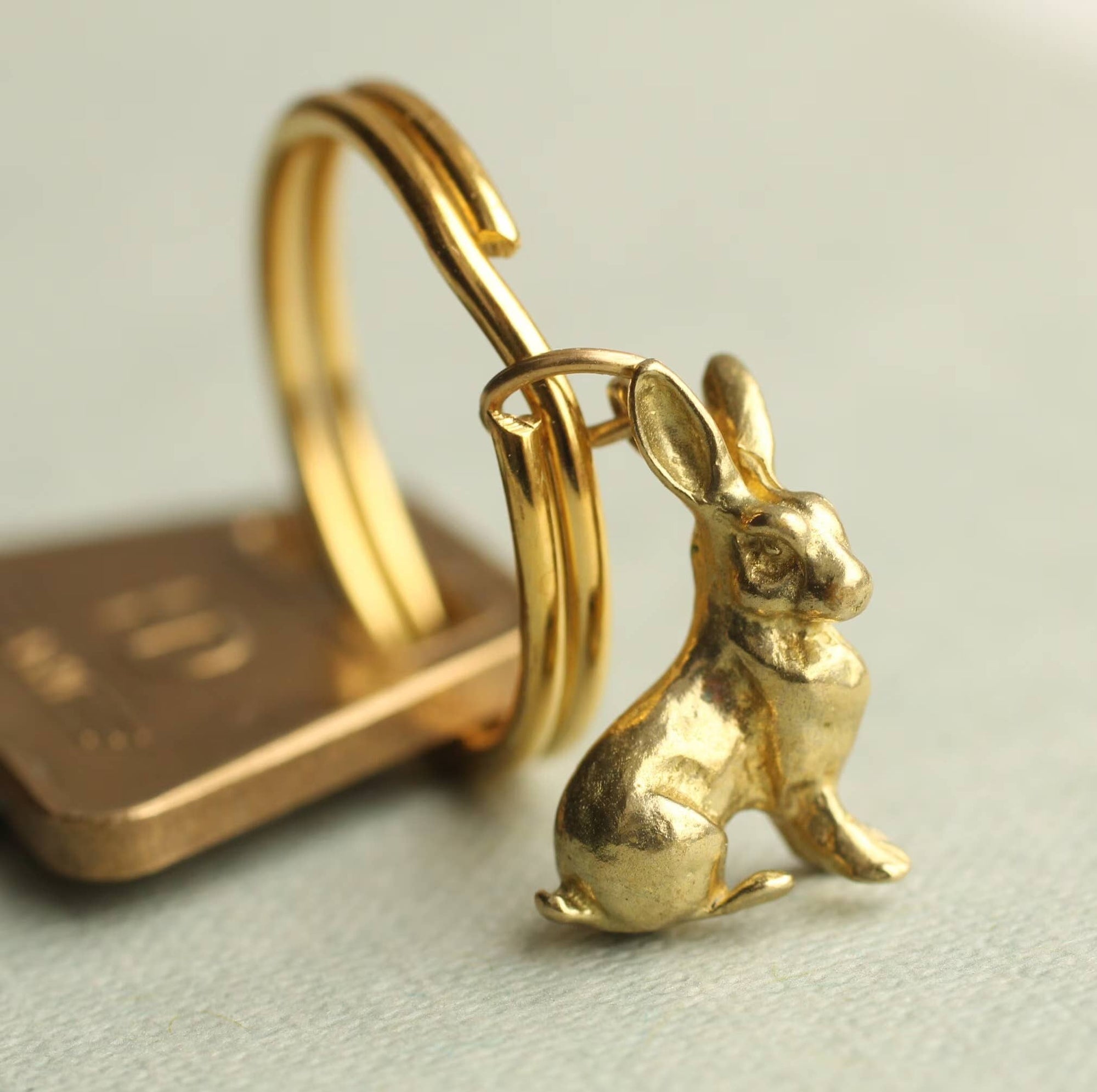 Tiny Rabbit Keyring - Box Turtle