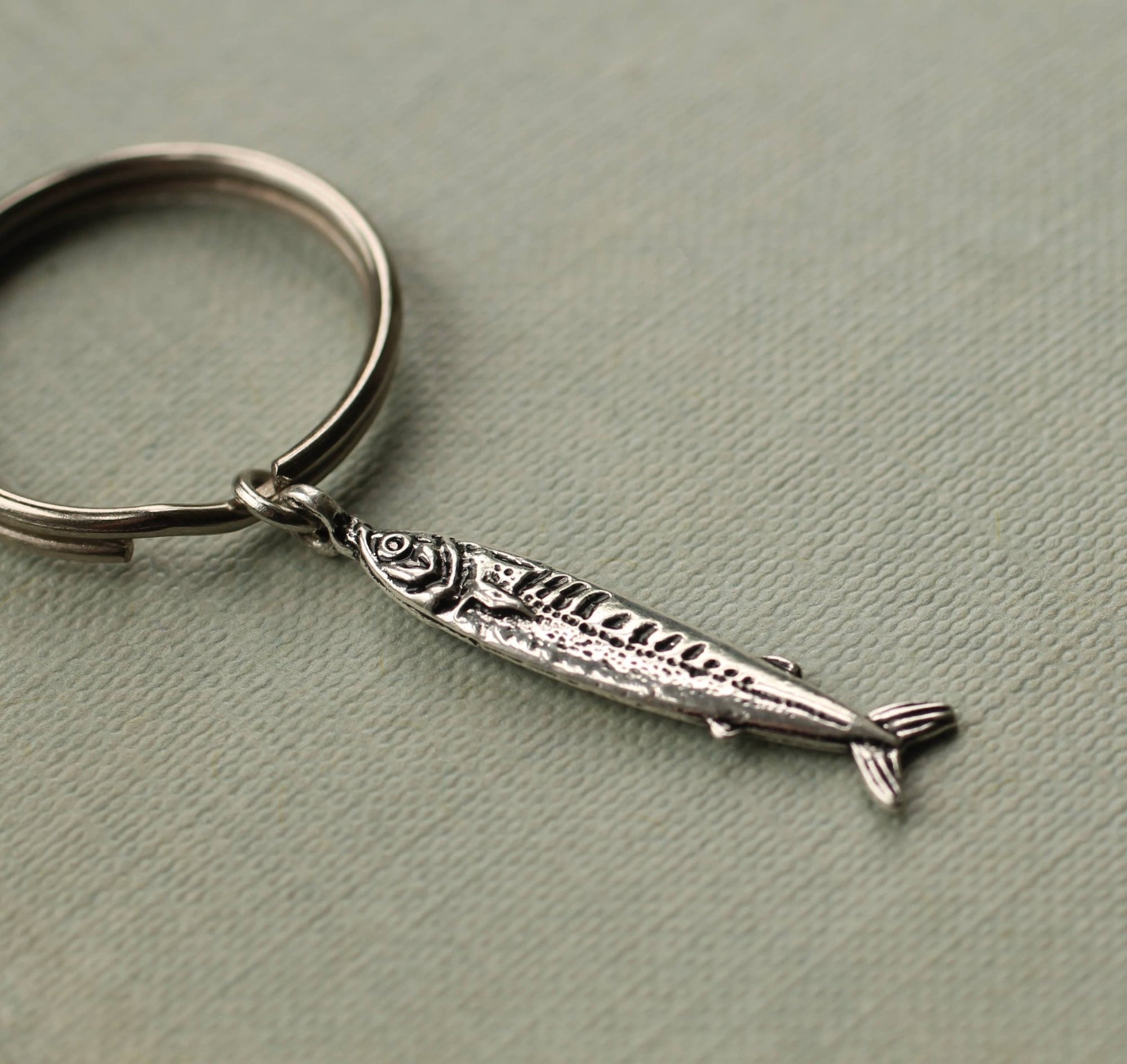 Tiny Sardine Keyring - Box Turtle