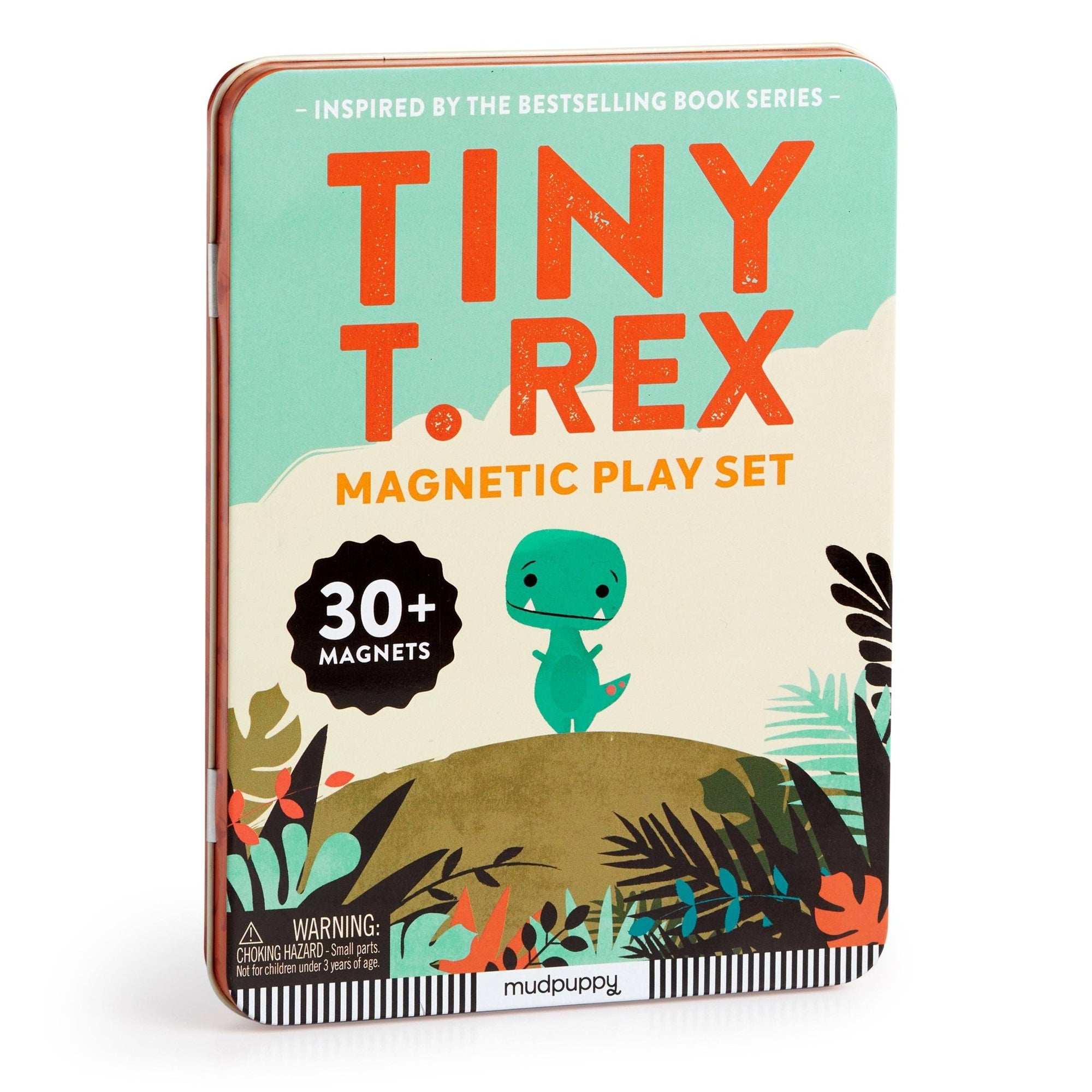 Tiny T.Rex Magnetic Play Set - Box Turtle