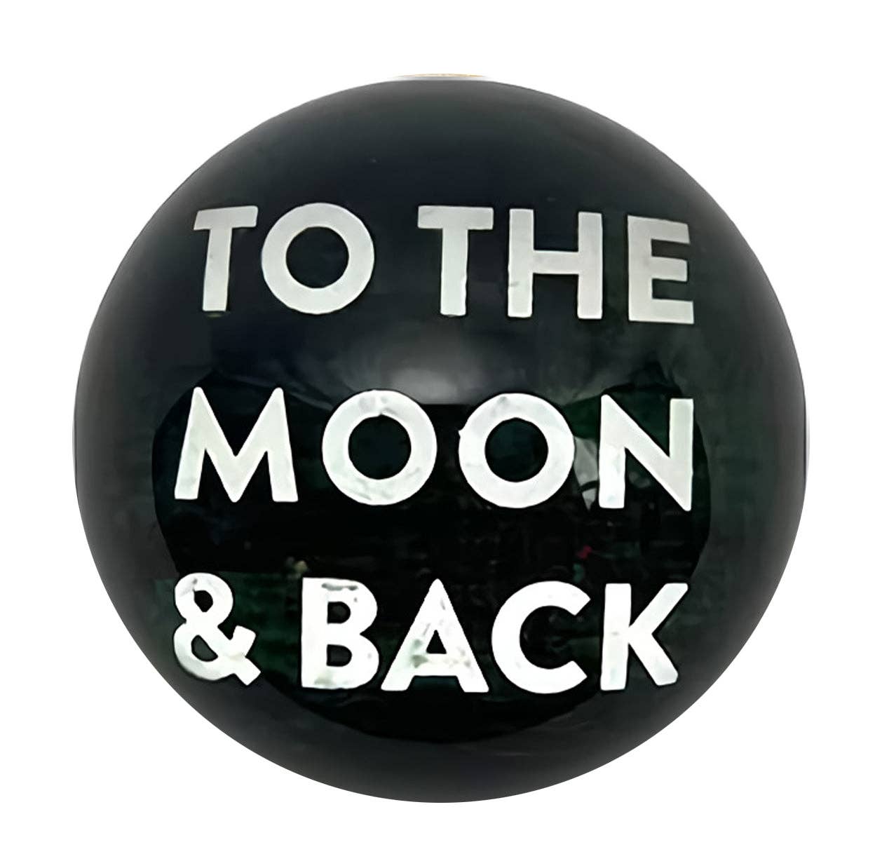 To The Moon And Back Paperweight - Box Turtle