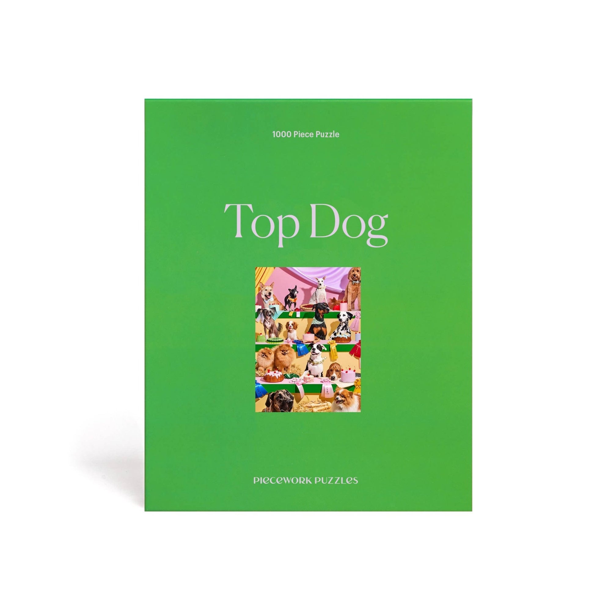 Top Dog 1000 Piece Puzzle - Box Turtle