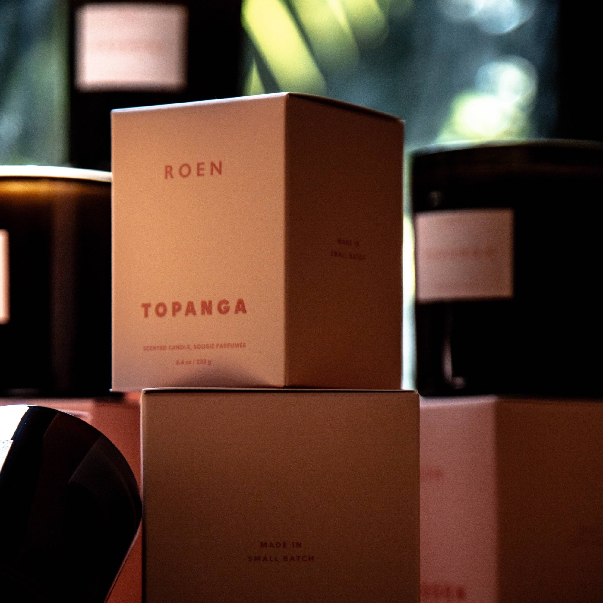 Topanga Candle - Box Turtle