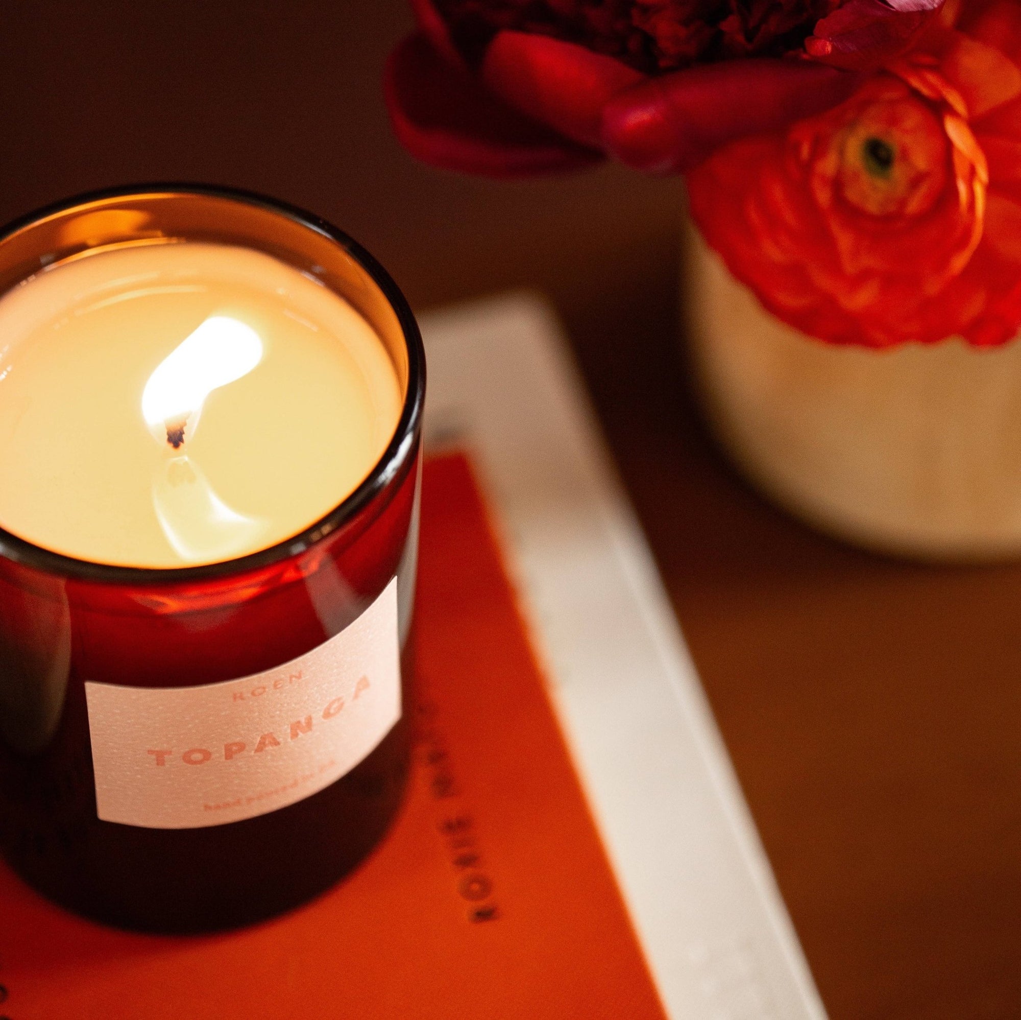 Topanga Candle - Box Turtle