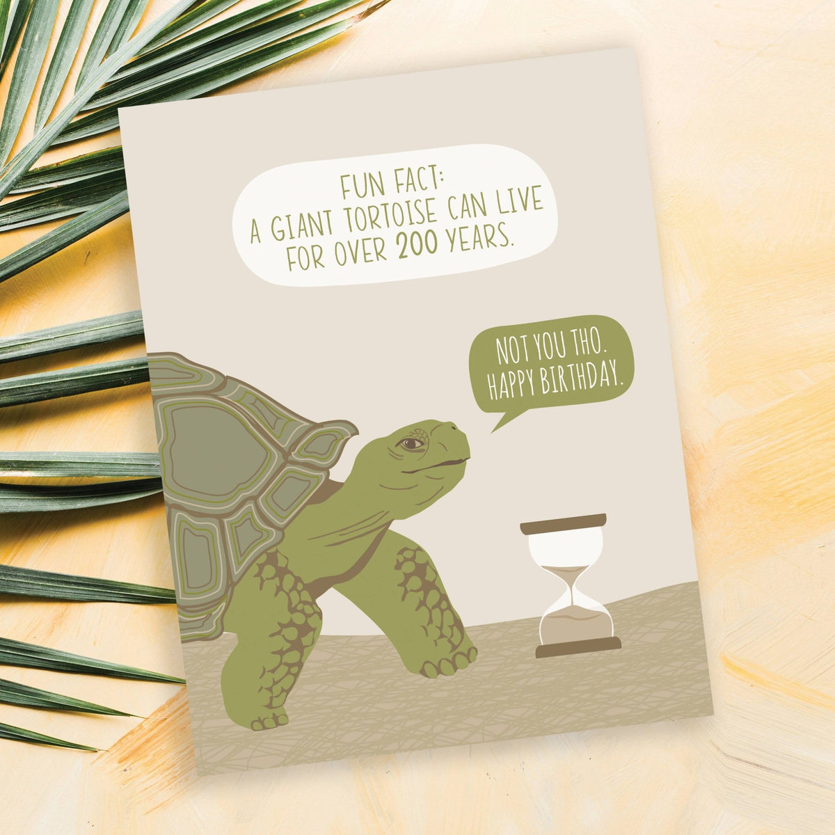 Tortoise Fact Funny Birthday Card - Box Turtle