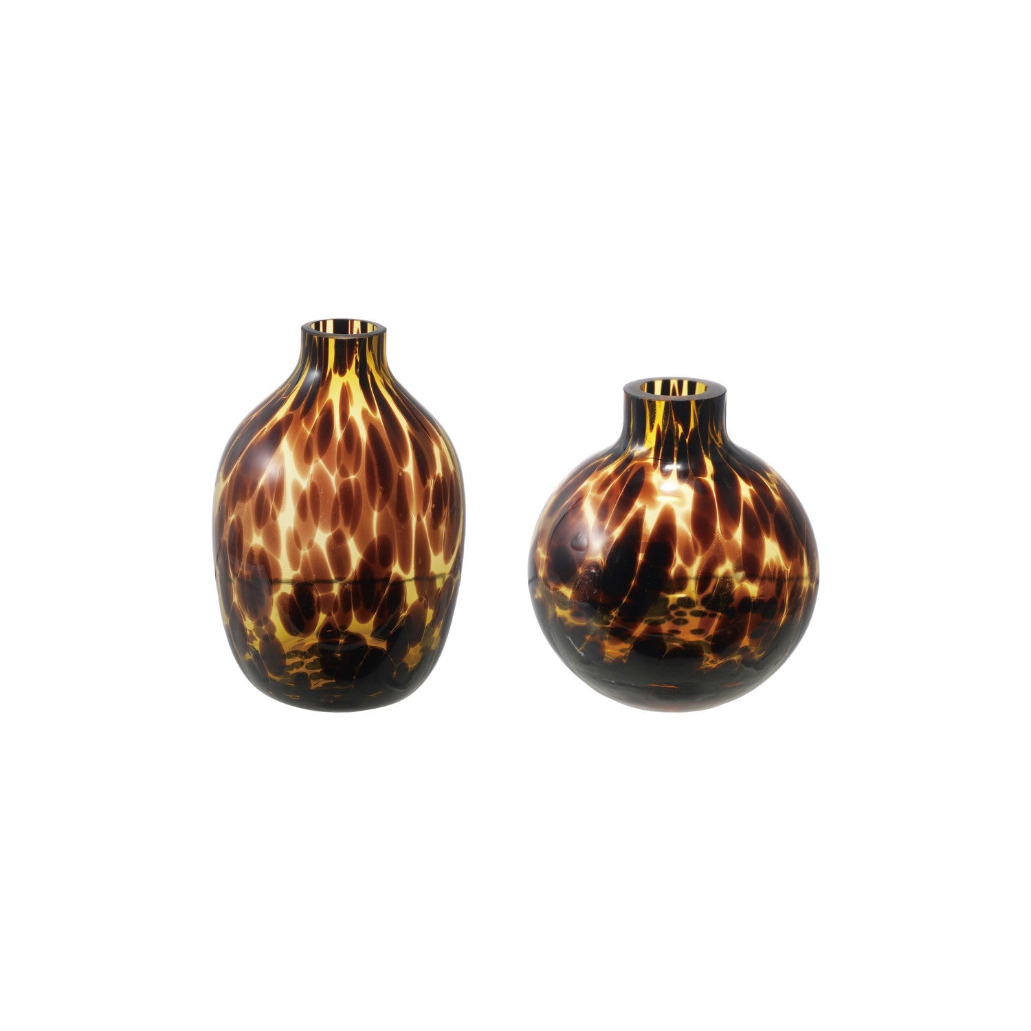 Tortoise Glass Vase - Box Turtle
