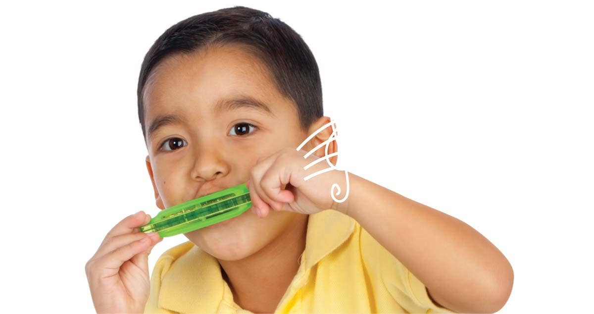 Translucent Harmonica - Box Turtle