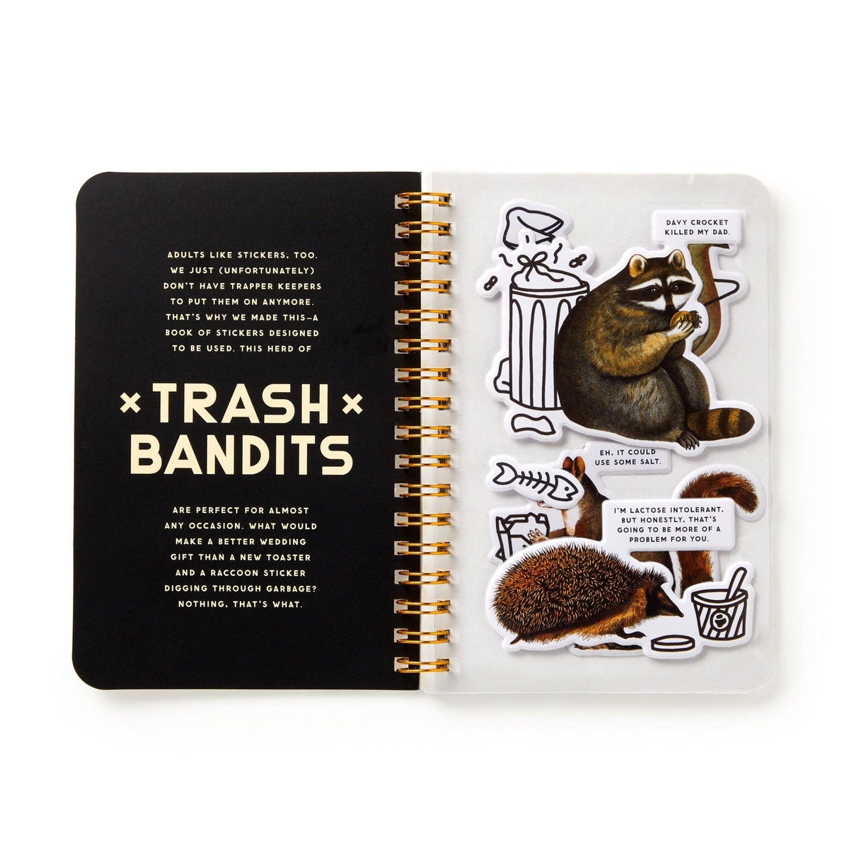 Trash Bandits Sticker Book - Box Turtle