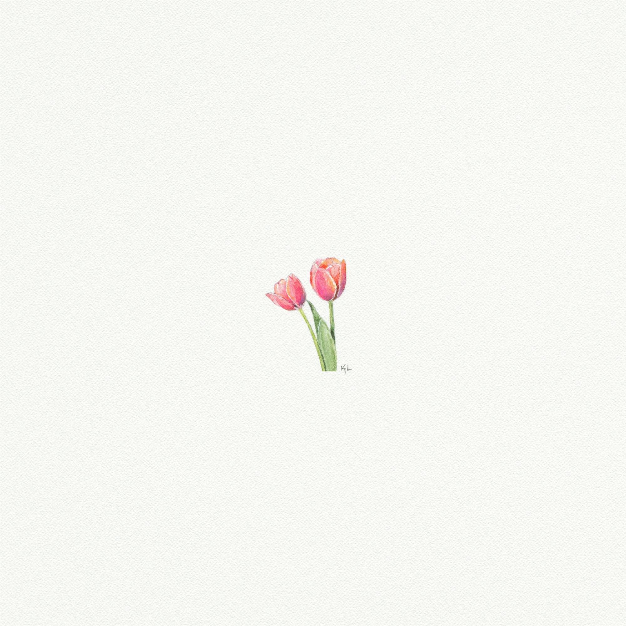 Tulip Miniature Watercolor Painting - Box Turtle