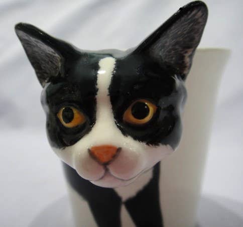 Tuxedo Cat Mug - Box Turtle