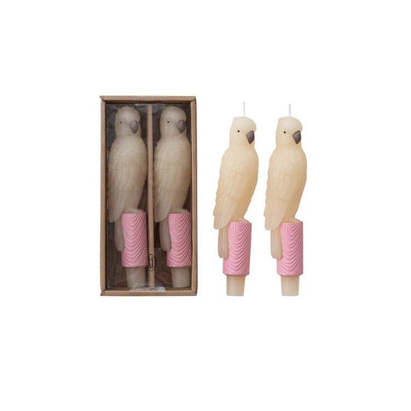 Unscented Parrot Taper Candles - Box Turtle