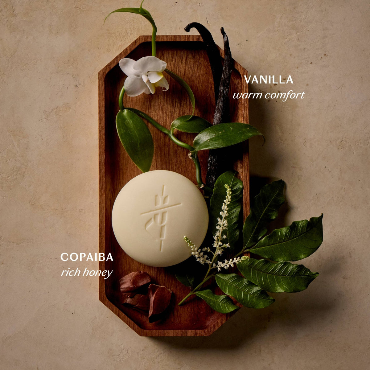 Vanilla &amp; Copaiba Deep Moisturizing Lotion Bar - Box Turtle