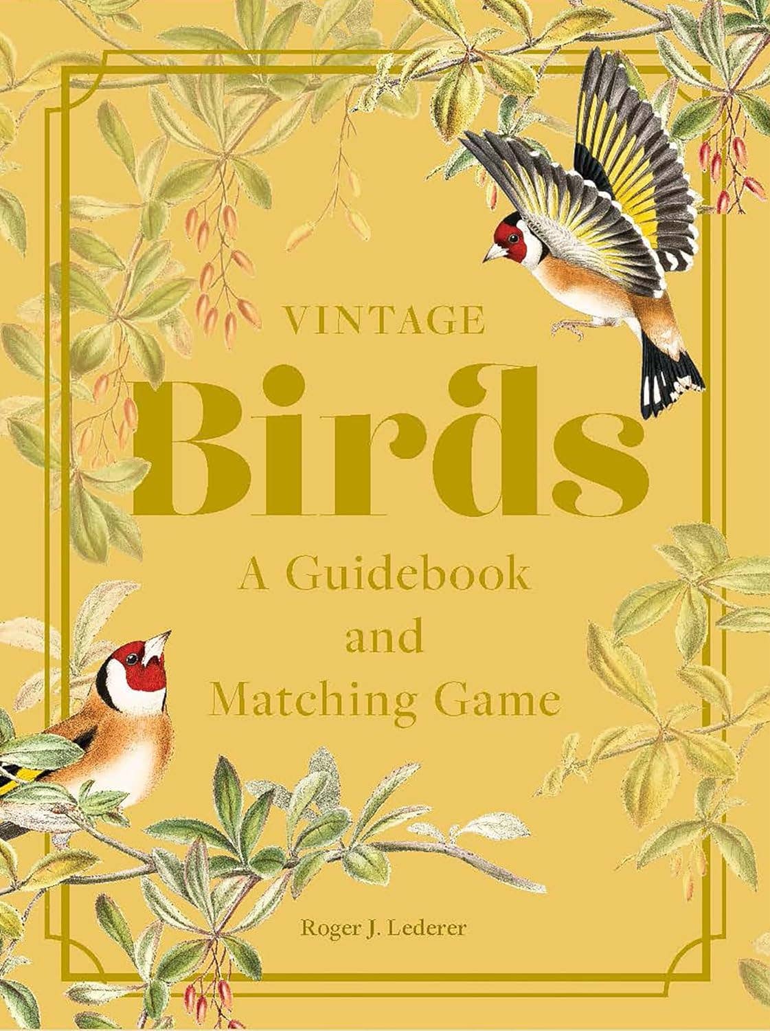Vintage Birds Game - Box Turtle