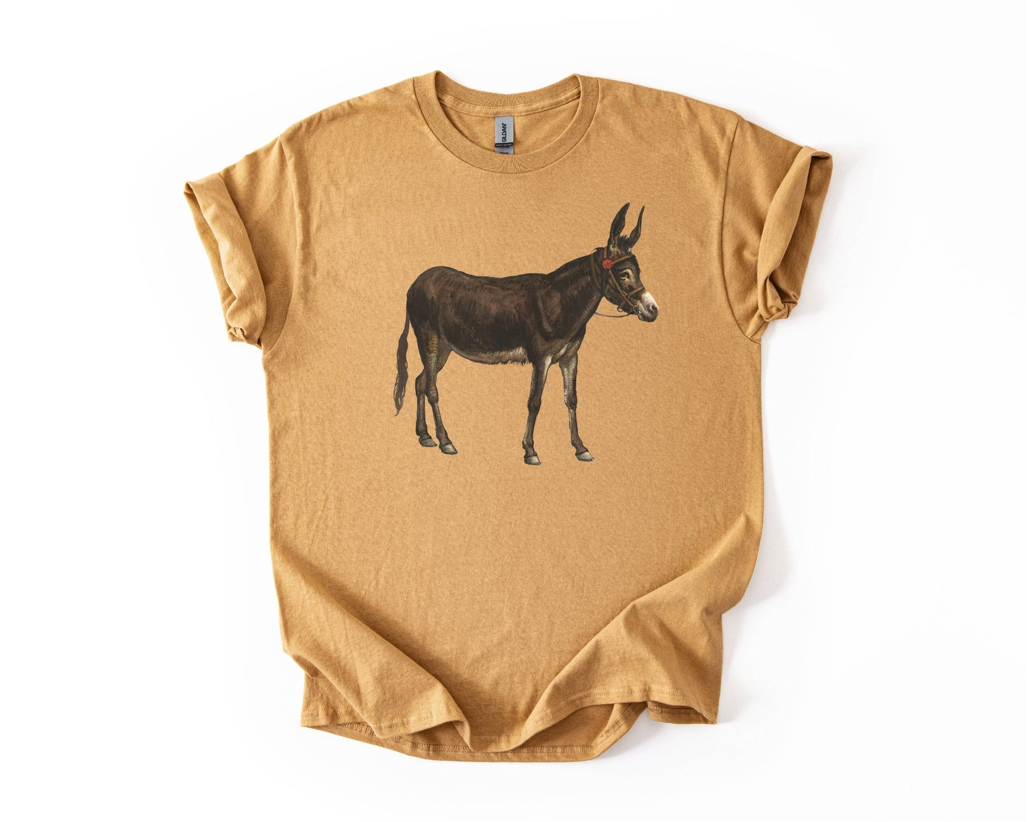 Vintage Donkey Tee - Box Turtle