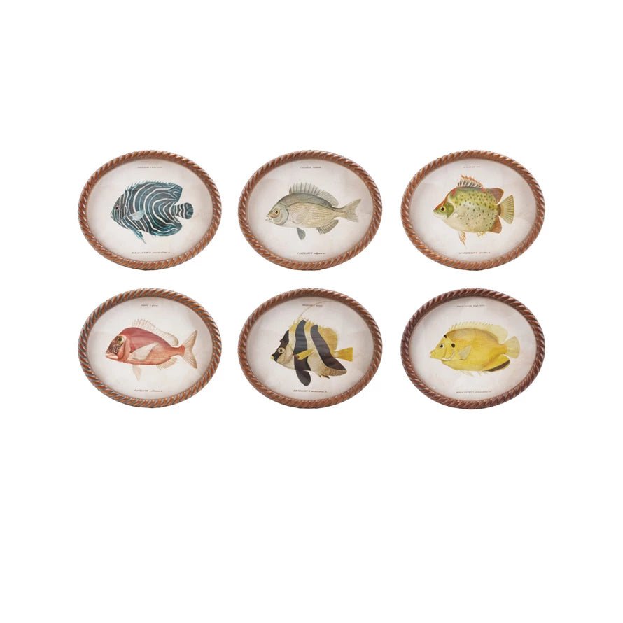Vintage Fish Framed Decor - Box Turtle