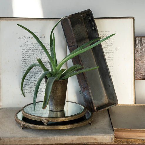 Vintage Iron Tray - Box Turtle