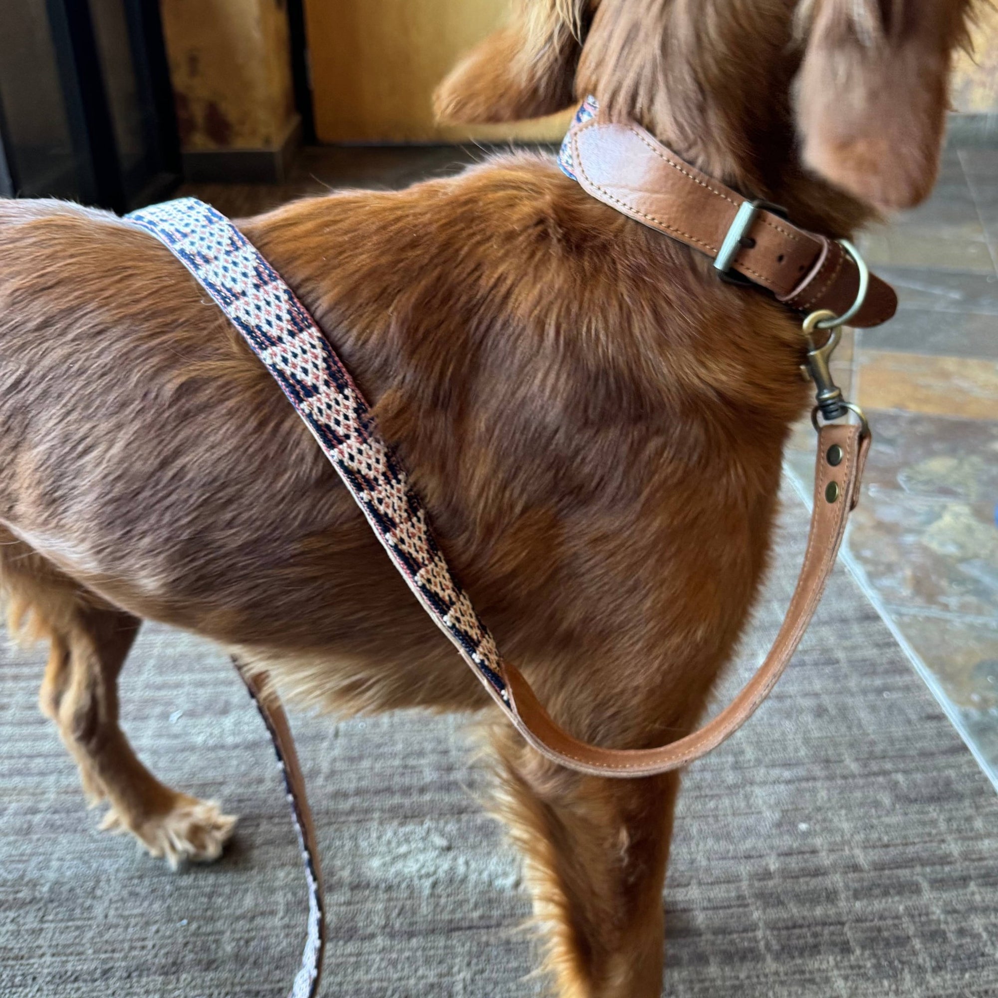 Vintage Kilim & Leather Dog Collar & Leash Set - Box Turtle