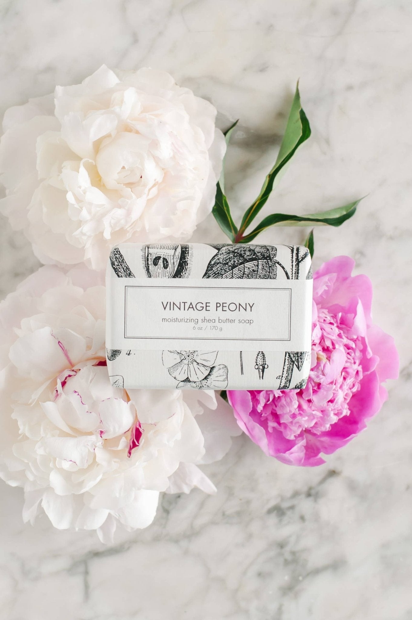 Vintage Peony Soap - Box Turtle