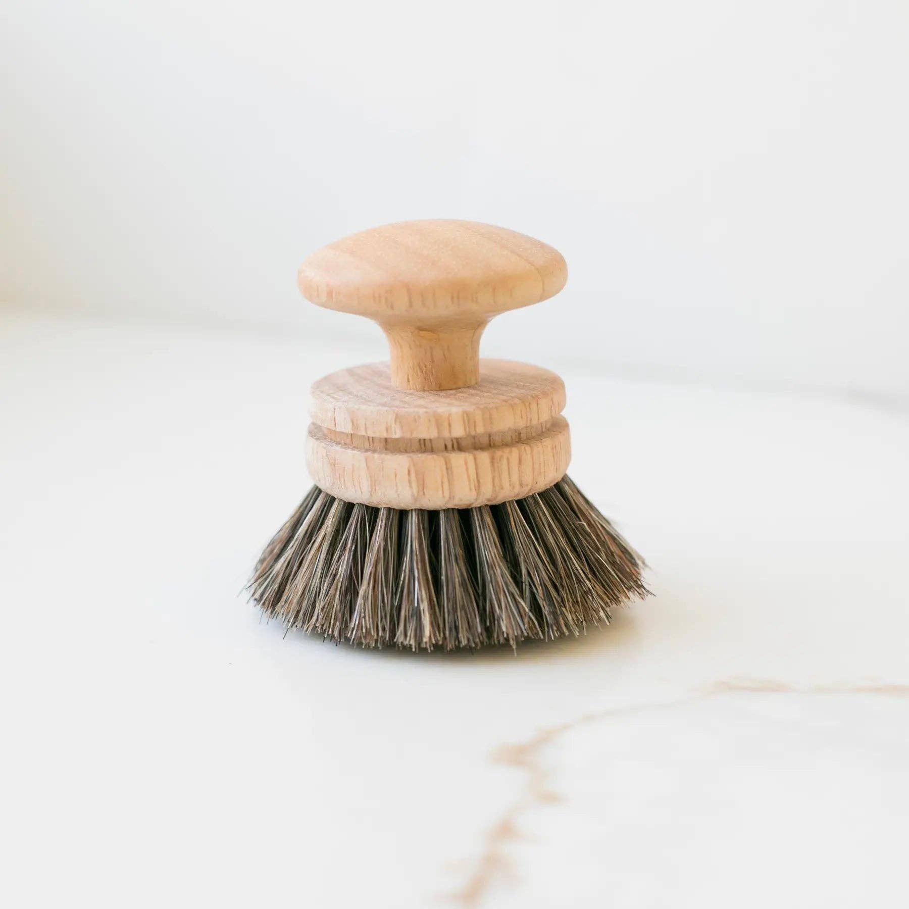 Vintage Wooden Dishwashing Brush - Box Turtle