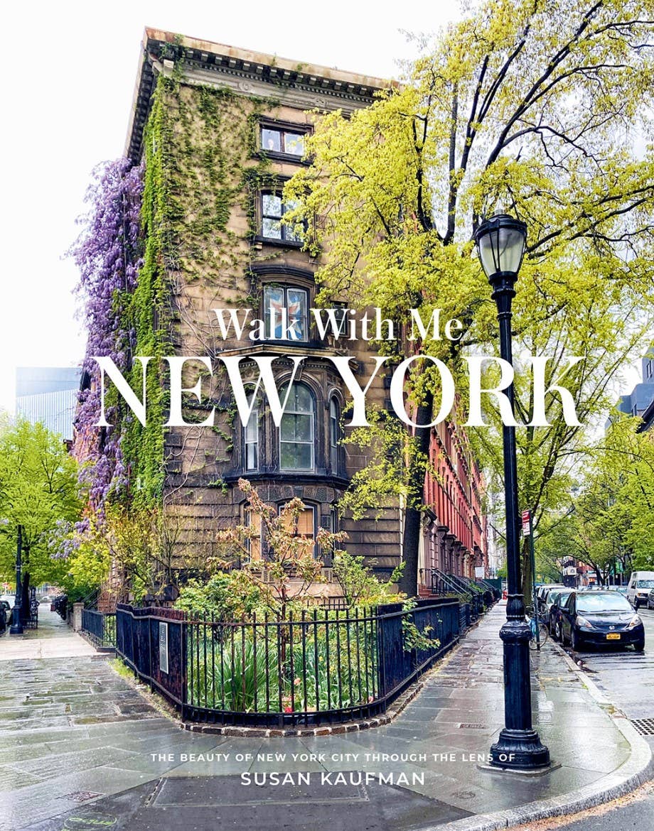 Walk With Me: New York - Box Turtle