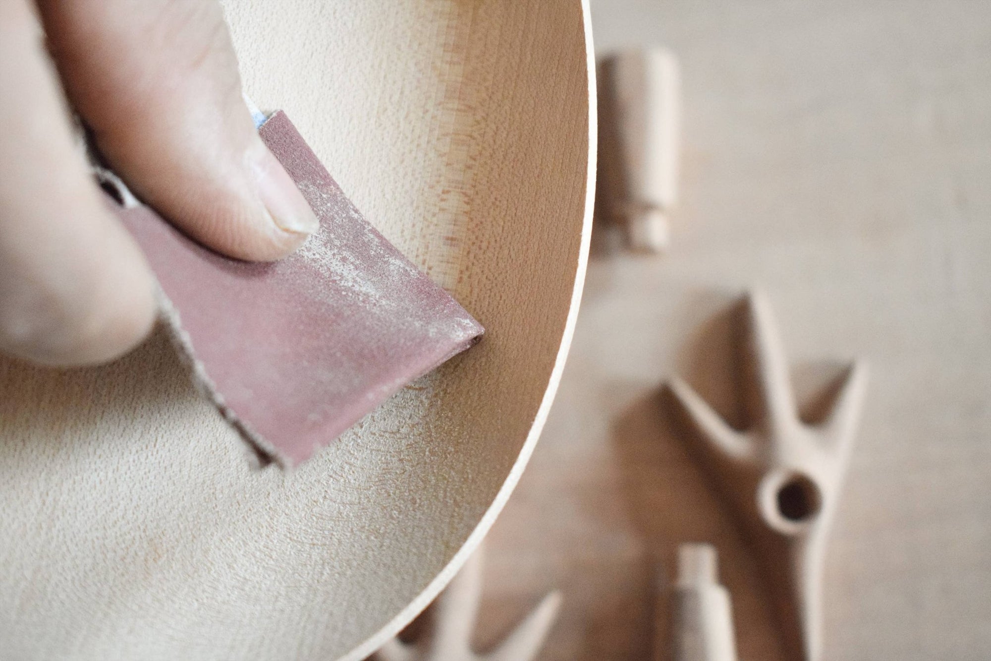 Walking Egg Tray Table Decoration - Box Turtle