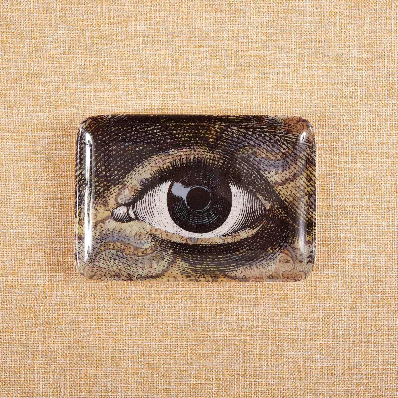 Wallpaper Eye Melamine Valet Tray - Box Turtle