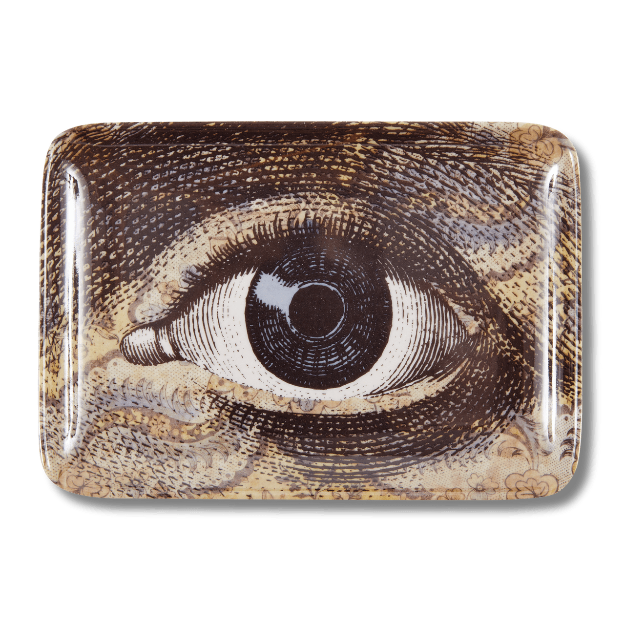 Wallpaper Eye Melamine Valet Tray - Box Turtle
