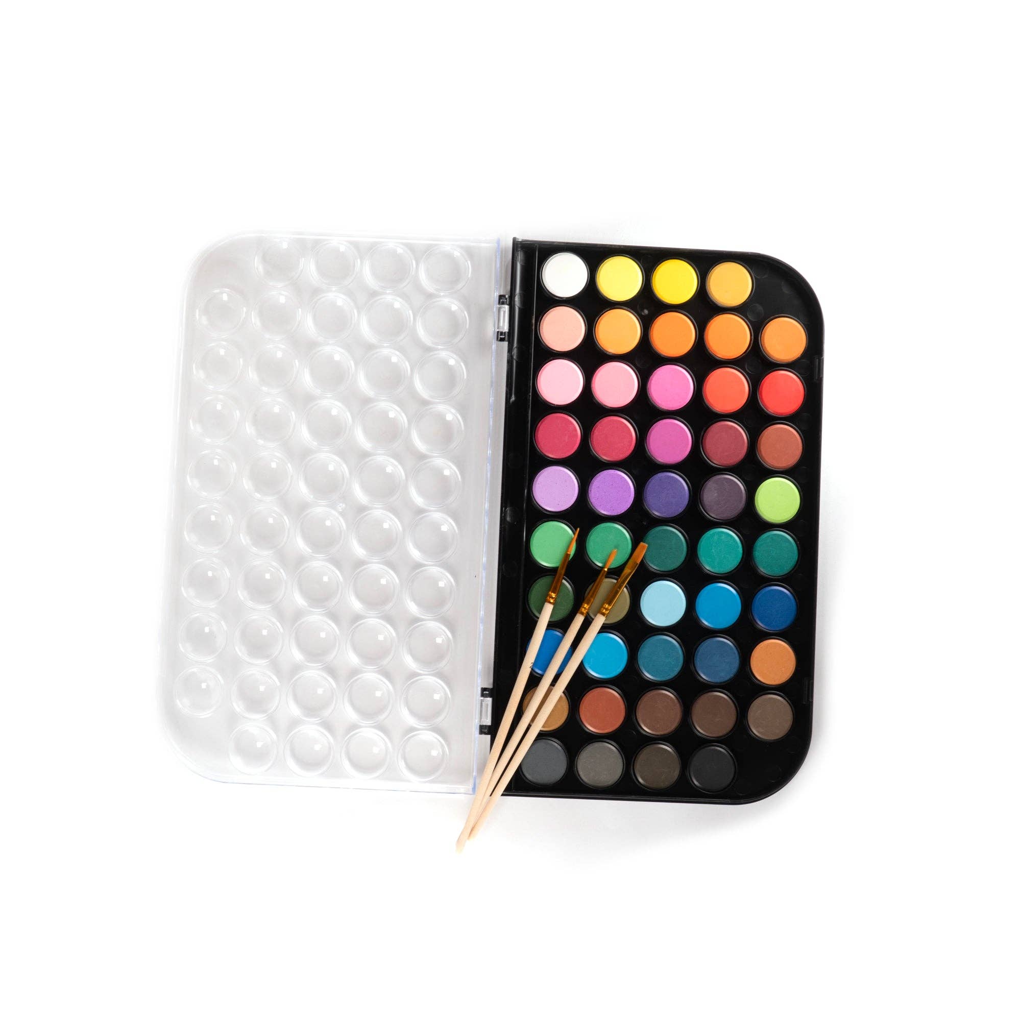 Watercolor Paint Set - Box Turtle