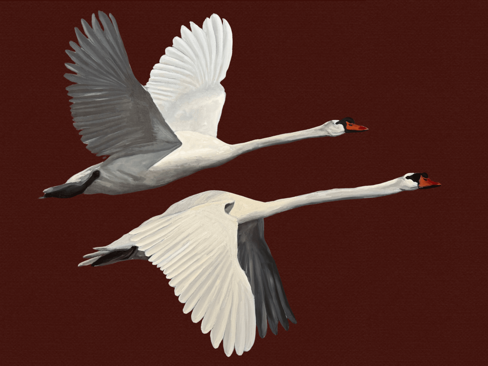Way of Swans Print - Box Turtle