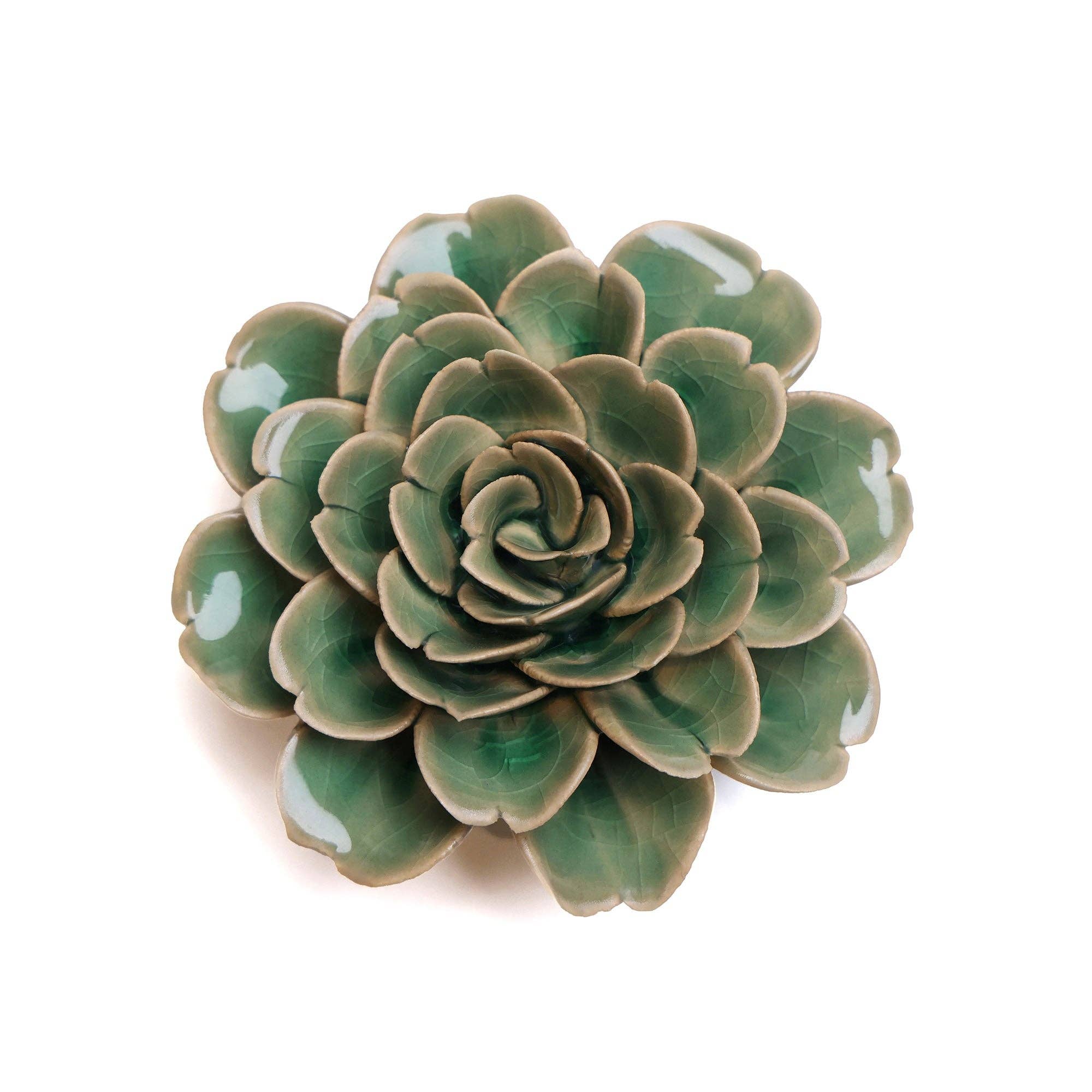 ceramic succulent wall decor Box Turtle