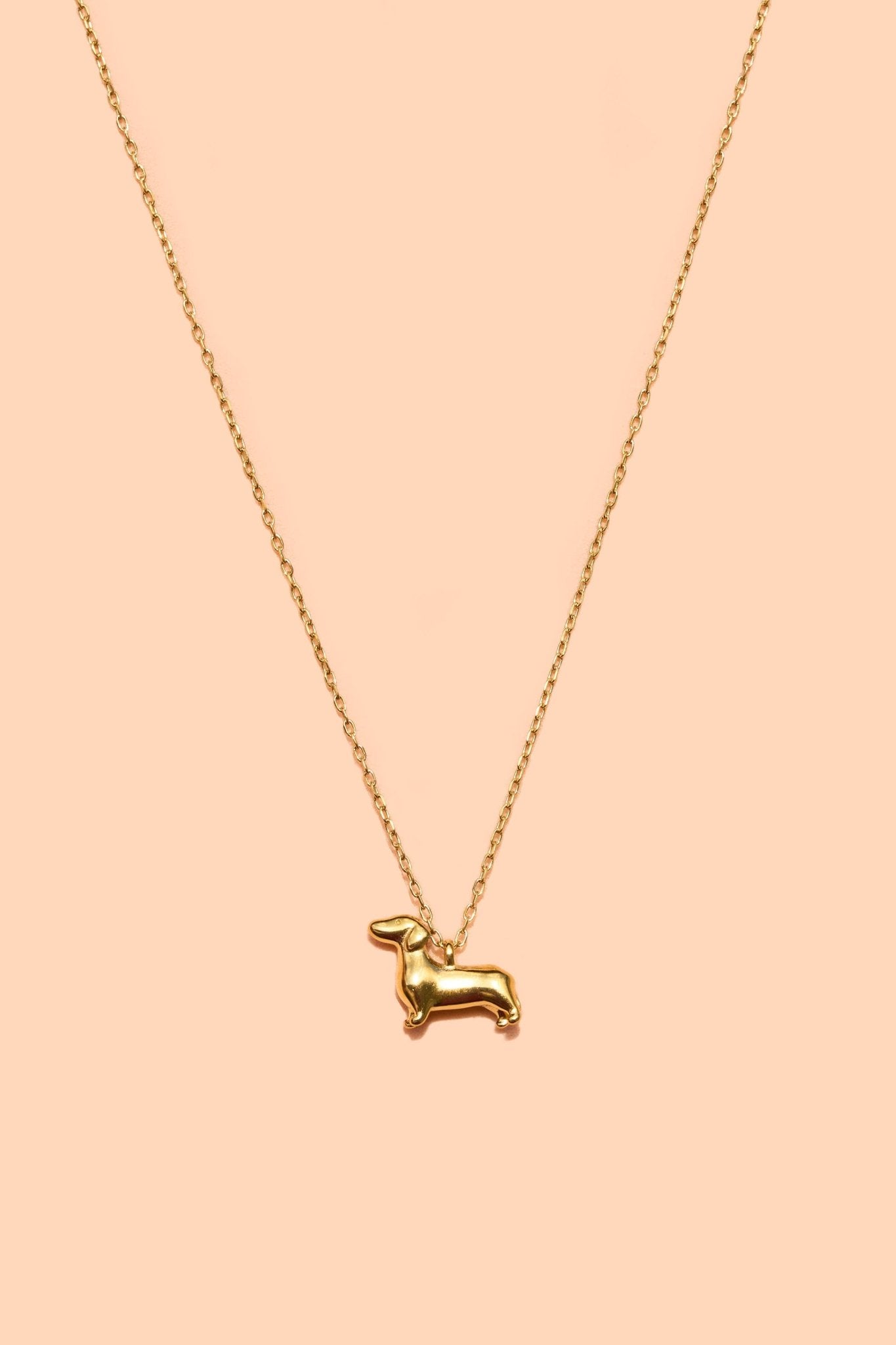 Weenie Dog Trinket Necklace - Box Turtle
