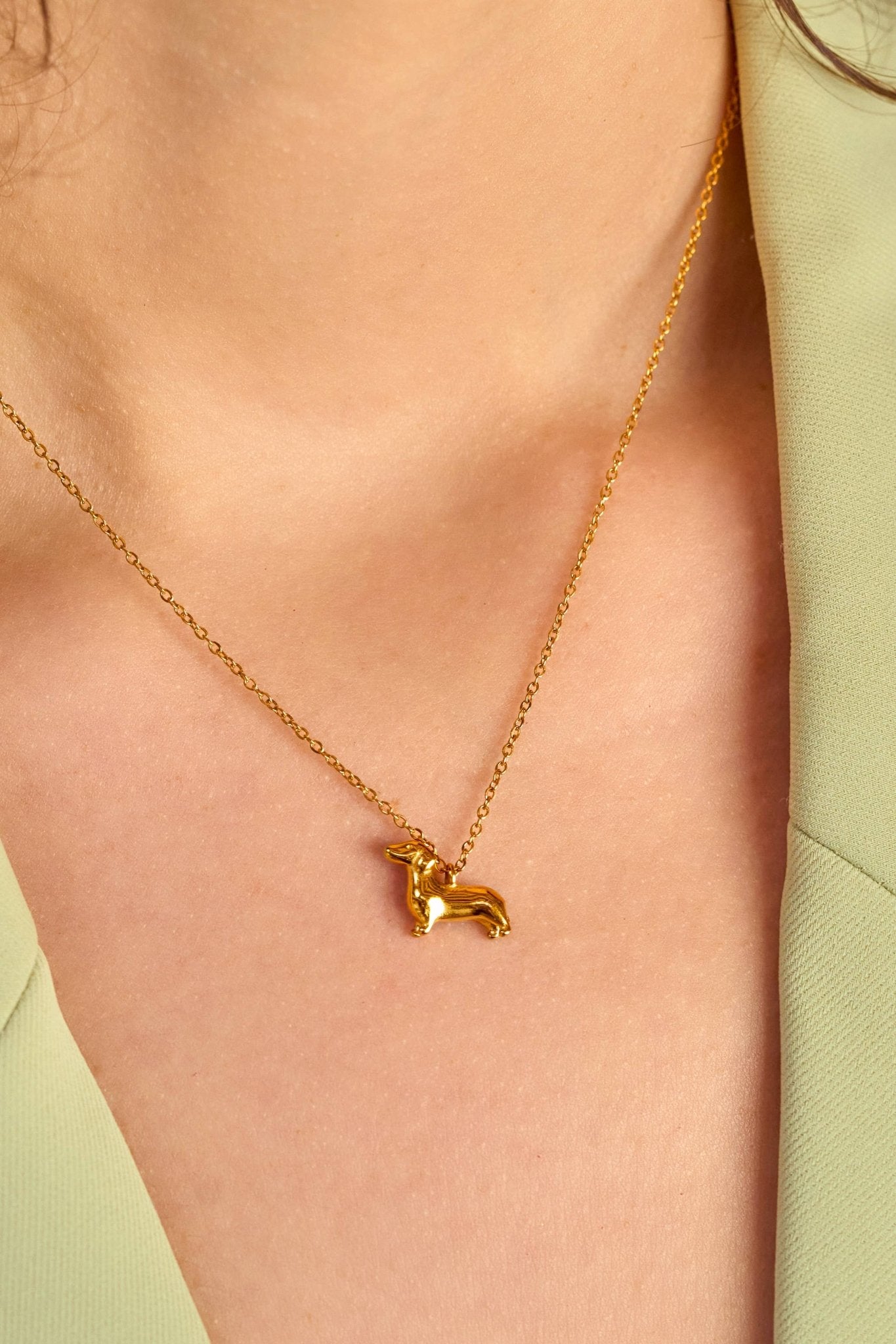 Weenie Dog Trinket Necklace - Box Turtle