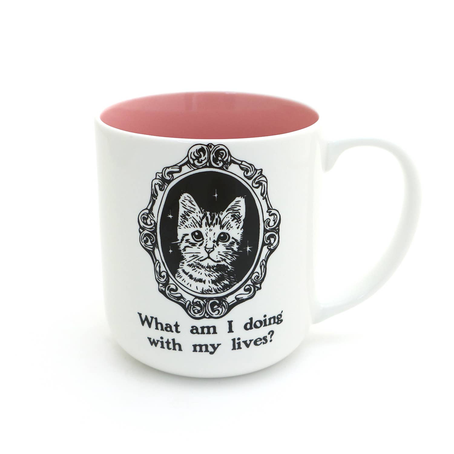 What Am I Doing With My Lives Cat Mug - Box Turtle