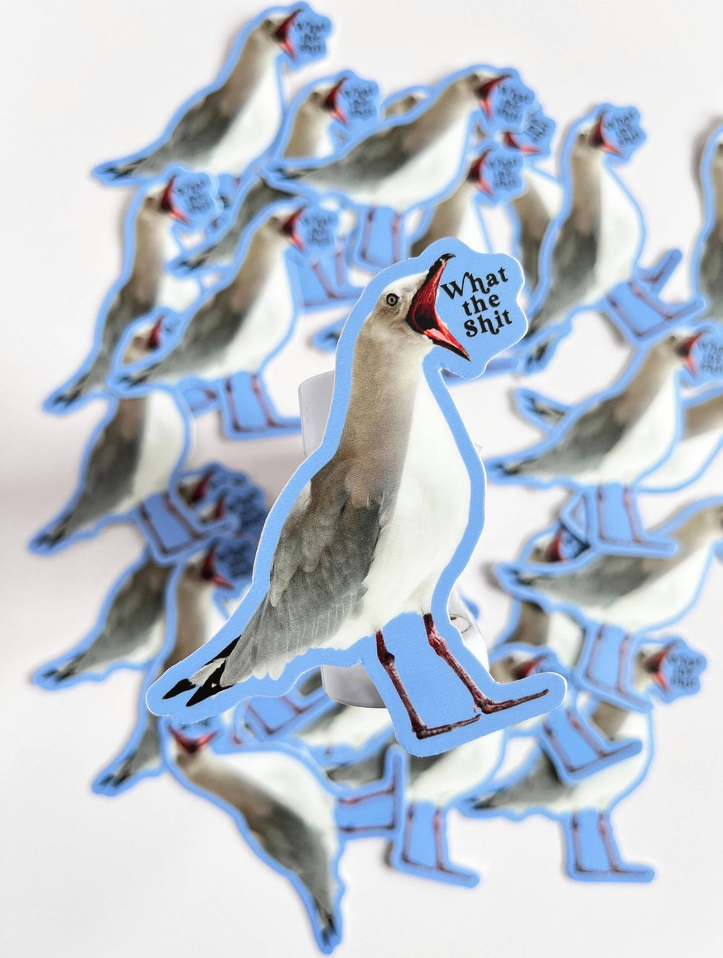 Box Turtle - What the Shit Bird Sticker