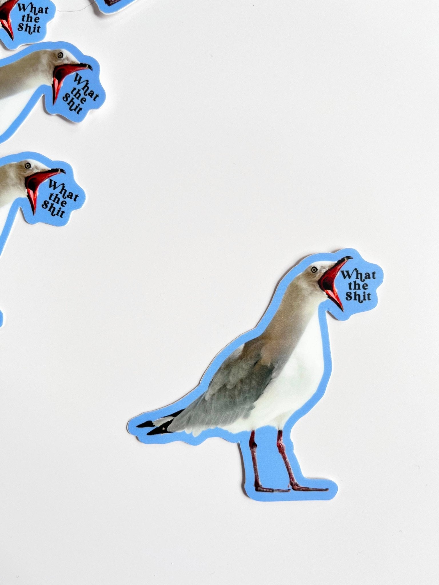 What the Shit Bird Sticker - Box Turtle