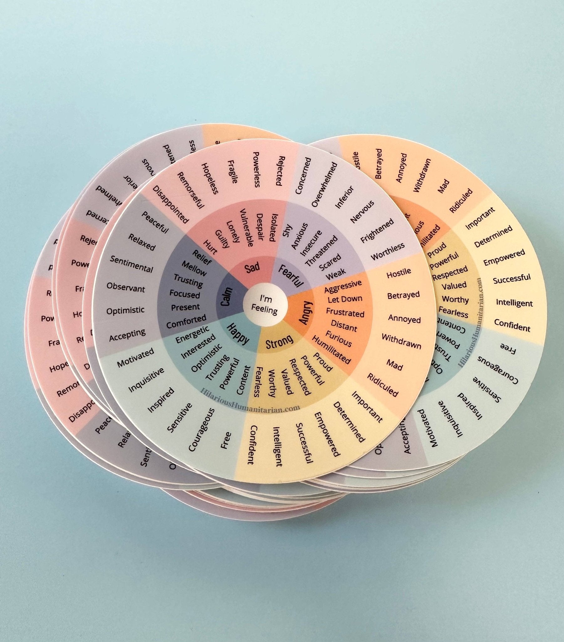 Wheel of Emotions Sticker - Box Turtle
