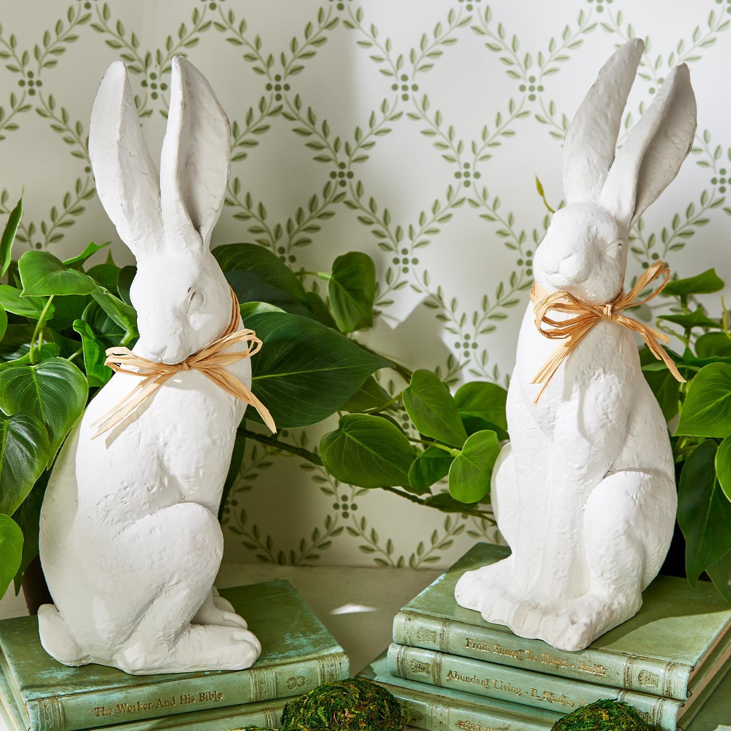 White Easter Rabbit - Box Turtle