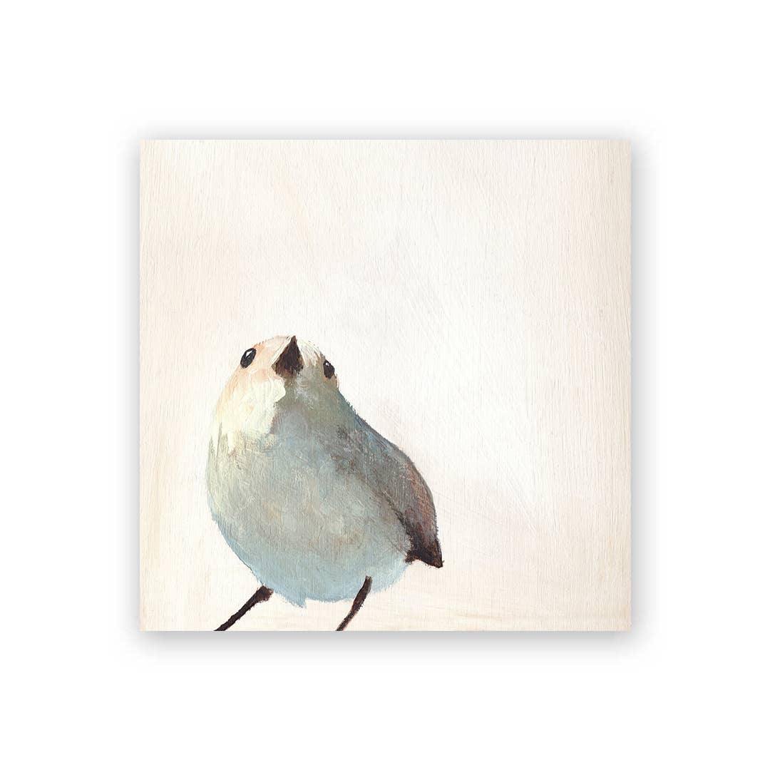 White Warbler Wood Wall Art - Box Turtle