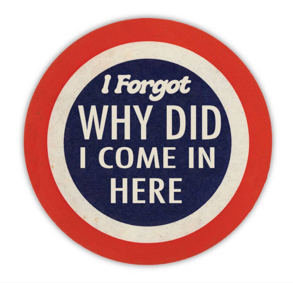 Why Am I Here Funny Sticker - Box Turtle