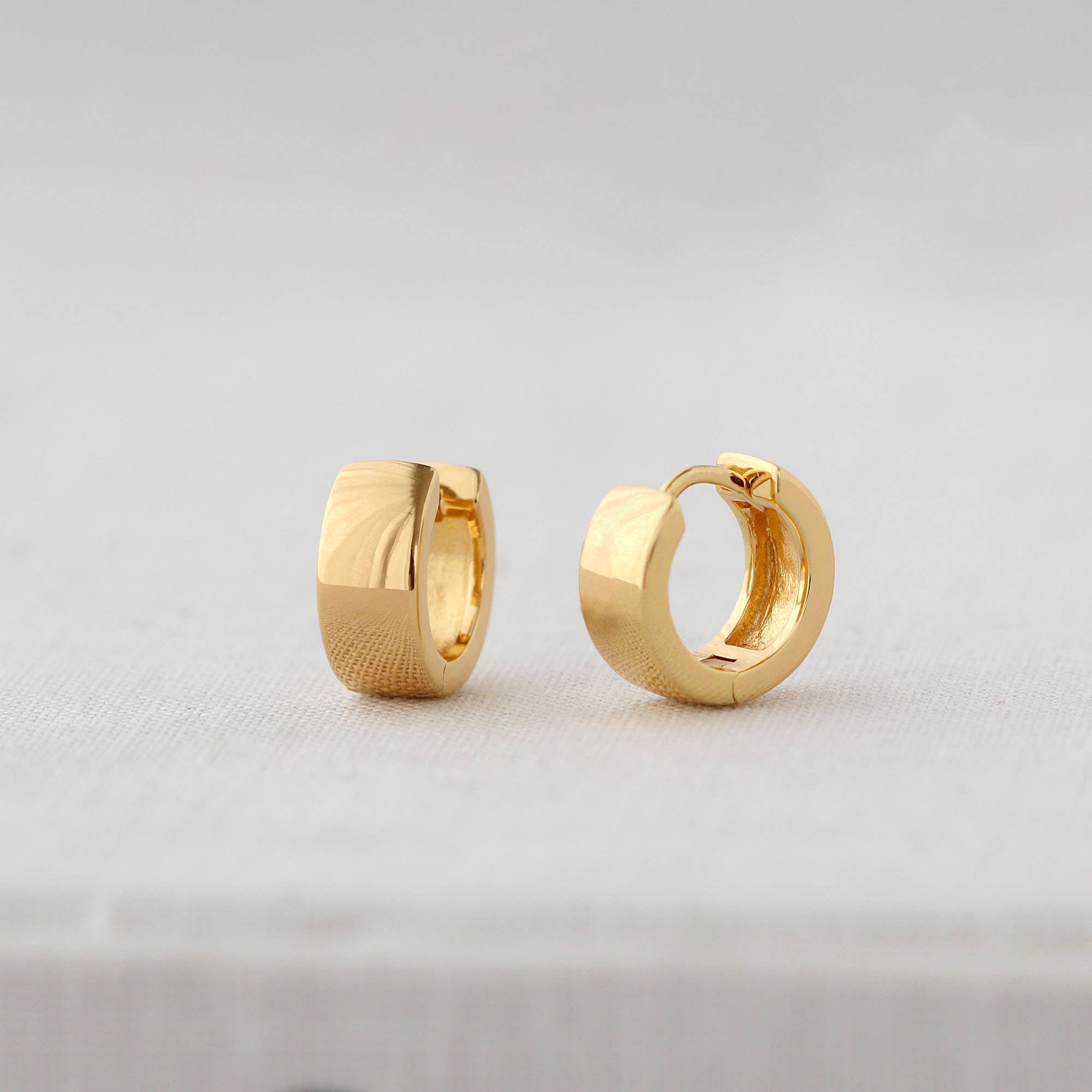 Wide Hinged Huggie Hoop Earrings - Box Turtle