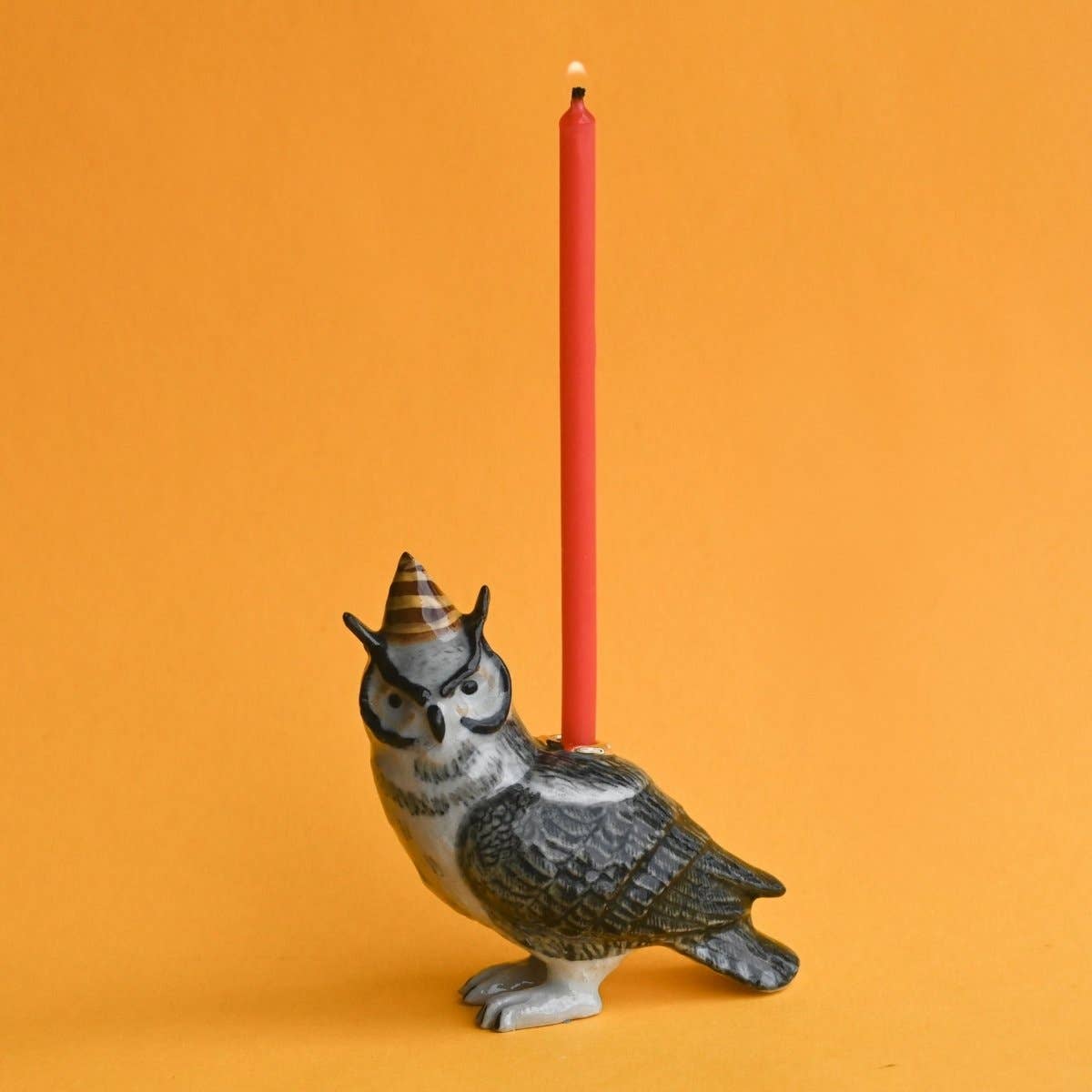 Wise Owl Cake Topper - Box Turtle